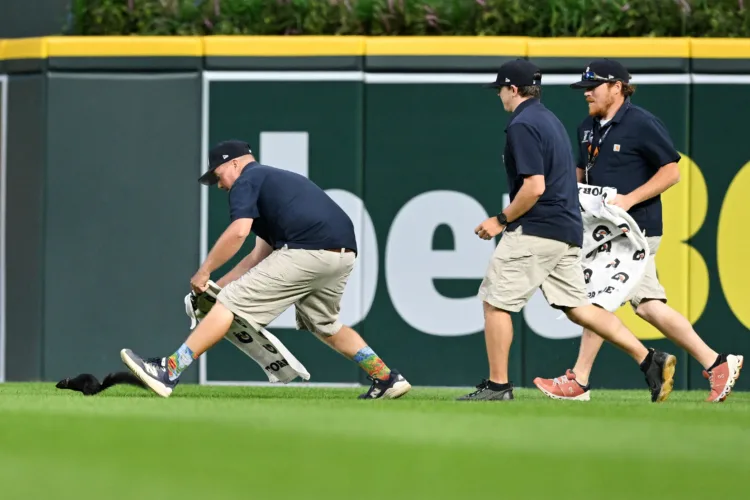 Orioles clout 3 homers in 8-5 win over Tigers